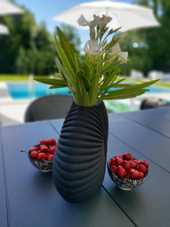 Villa Destiny Nedescina, Istrien, Kroatien ภายนอก รูปภาพ