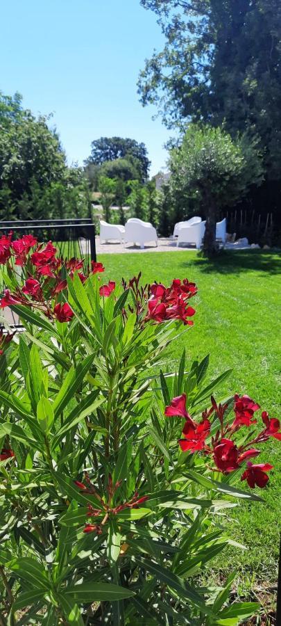 Villa Destiny Nedescina, Istrien, Kroatien ภายนอก รูปภาพ