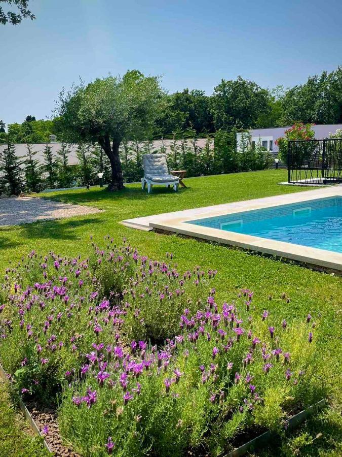 Villa Destiny Nedescina, Istrien, Kroatien ภายนอก รูปภาพ